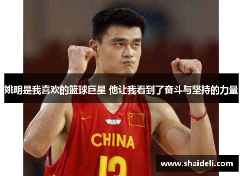 姚明是我喜欢的篮球巨星 他让我看到了奋斗与坚持的力量