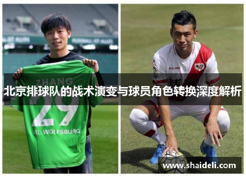 北京排球队的战术演变与球员角色转换深度解析