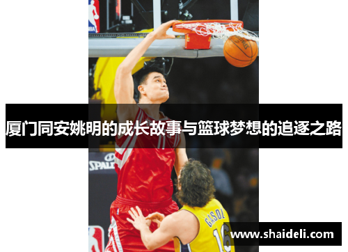 厦门同安姚明的成长故事与篮球梦想的追逐之路