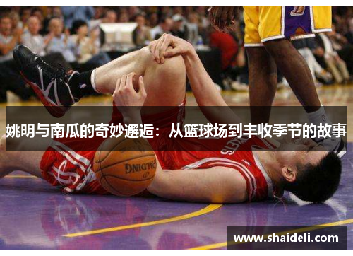 姚明与南瓜的奇妙邂逅：从篮球场到丰收季节的故事