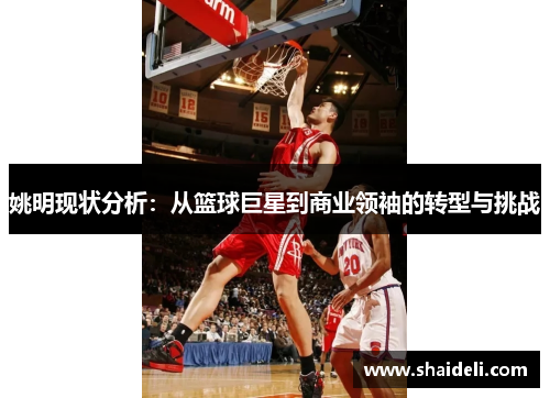 姚明现状分析：从篮球巨星到商业领袖的转型与挑战