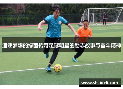 追逐梦想的绿茵传奇足球明星的励志故事与奋斗精神