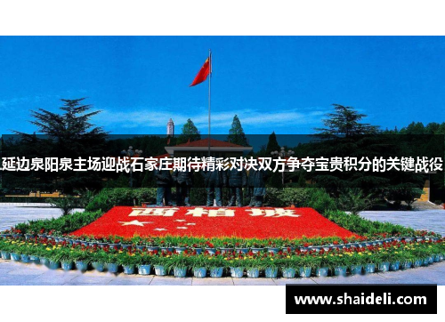 延边泉阳泉主场迎战石家庄期待精彩对决双方争夺宝贵积分的关键战役